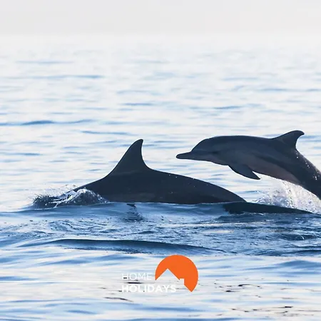 #082 Families Only - Sao Rafael By Holidays Appartamento