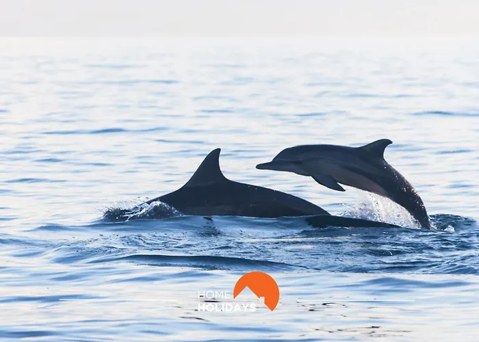 #082 Families Only - Sao Rafael By Holidays Apartamento